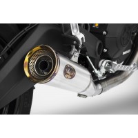 ZARD ZUMA Slip-on Exhaust for Ducati Monster 797 ZARD ZUMA Slip-on Exhaust for Ducati Monster 797